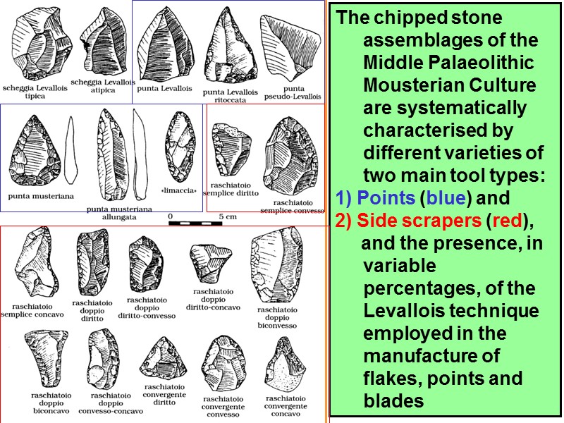 The chipped stone assemblages of the Middle Palaeolithic Mousterian Culture are systematically characterised by